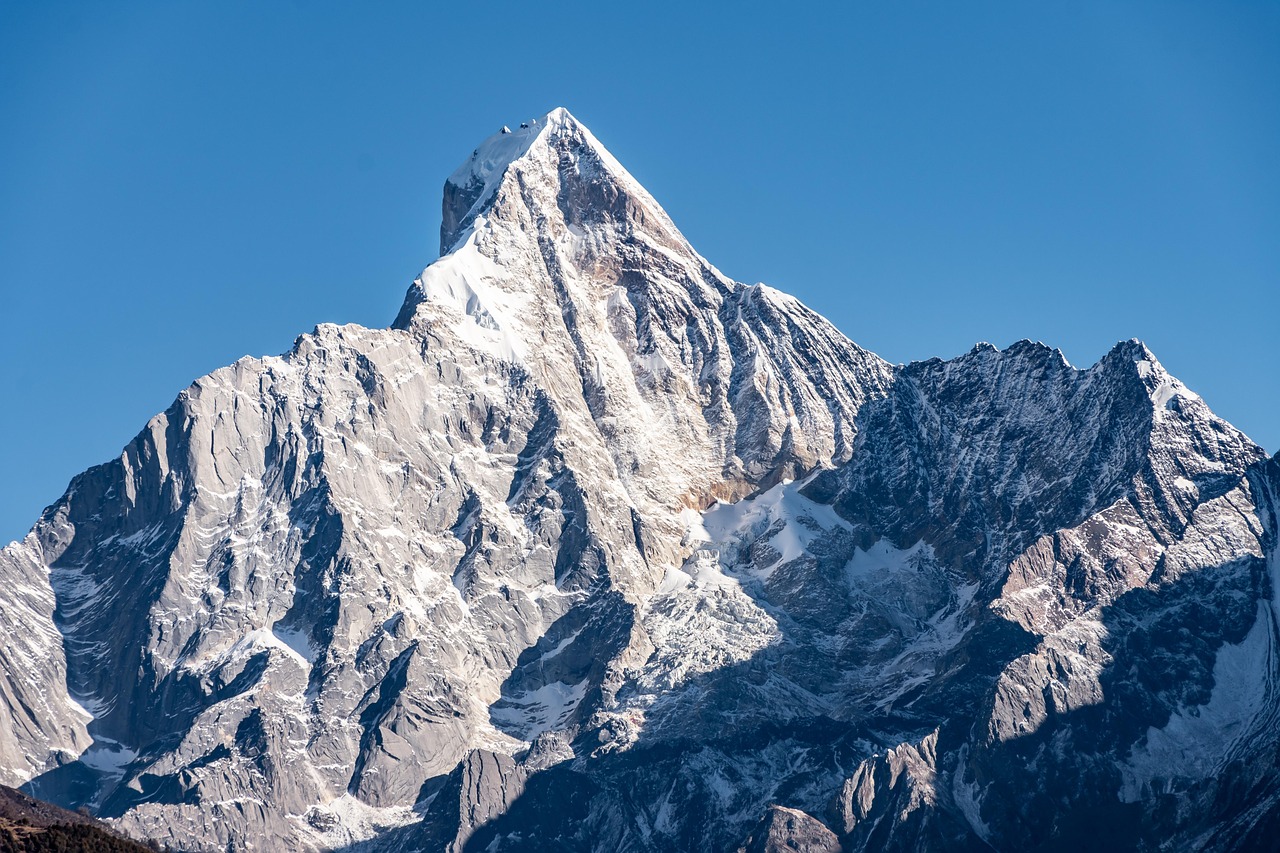 section image