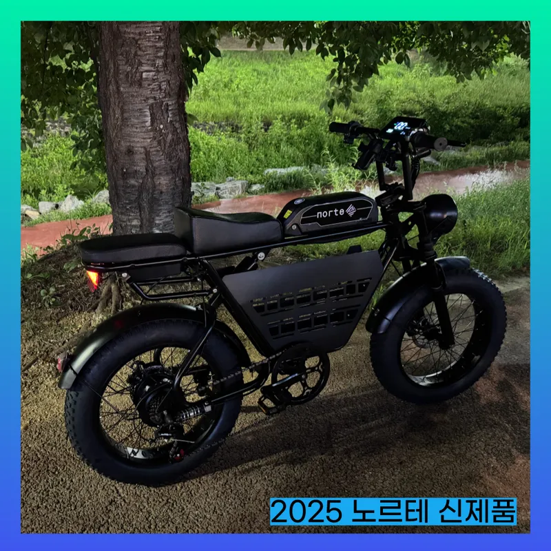 노르테 전기 자전거 자토바이 전동 스쿠터 팻바이크 MTB 배달용 출퇴근용, Y1 럭셔리, 스틸