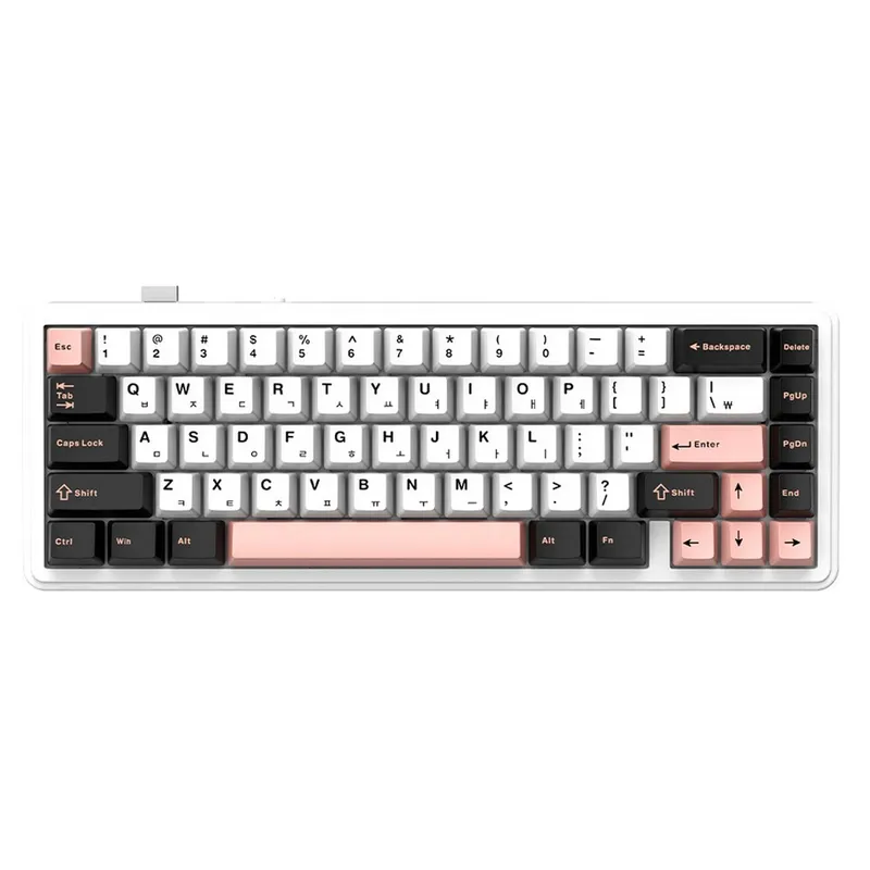 AULA F65 유무선 펀키스독거미 한글 기계식 텐키리스 키보드, 올리비아 화이트, 저소음 바다축