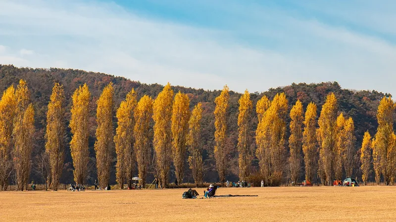 강원도 동계 올림픽, 겨울 스포츠의 중심지